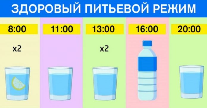 График питья для худеющих: ешь что хочешь и пей воду по часам График питья для худеющих: ешь что хочешь и пей воду по часам