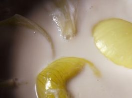 Молоко с луком от кашля — 3 рецепта, проверенных не одним поколением!