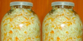 для любителей квашеной капусты