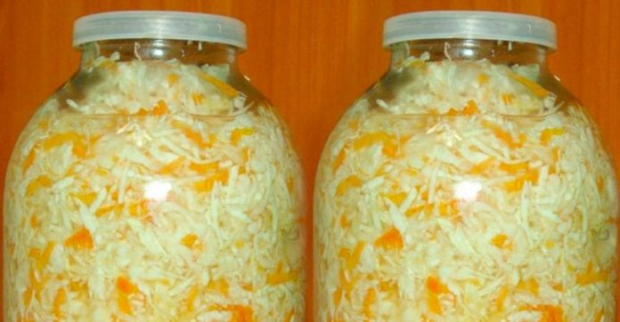 для любителей квашеной капусты для любителей квашеной капусты