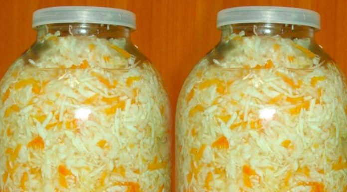 Вся правда для любителей квашеной капусты для любителей квашеной капусты