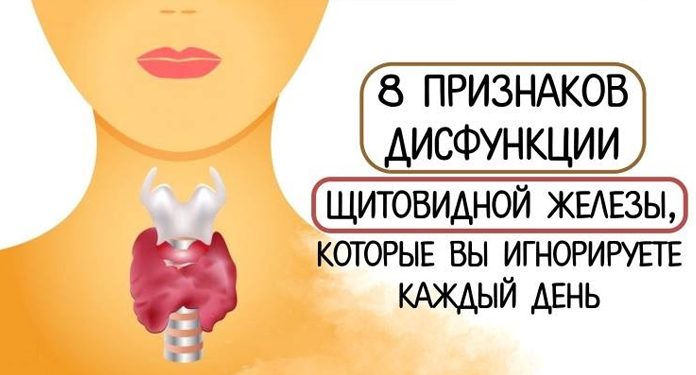 8 признаков дисфункции щитовидной железы, которые вы игнорируете каждый день
