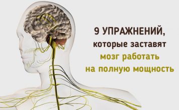 9 кинезиологических упражнений, которые заставят мозг работать на полную мощность