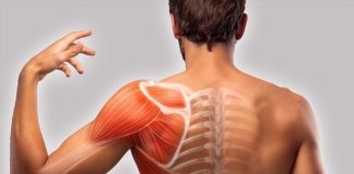 Метод Эгоскью: 6 упражнений для шеи и середины спины