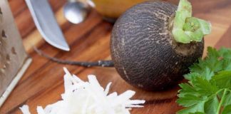 Черная редька лечит диабет и отеки: 12 отличных народных рецептов!