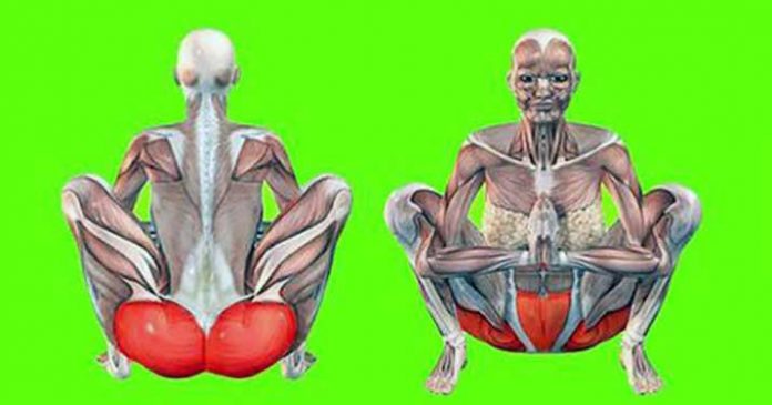 malasana маласана