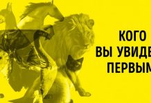 Тест Юнга: не раздумывая, назовите животное, которое вы увидели первым