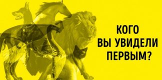 Тест Юнга: не раздумывая, назовите животное, которое вы увидели первым