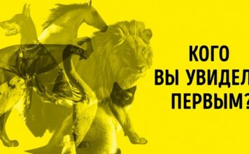 Тест Юнга: не раздумывая, назовите животное, которое вы увидели первым