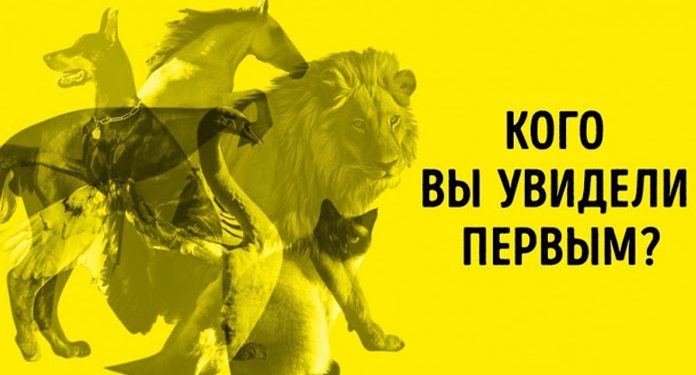 Тест Юнга: не раздумывая, назовите животное, которое вы увидели первым