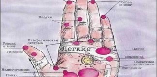 Болезни человека — на его руках. Будь внимателен — меньше будешь болеть!