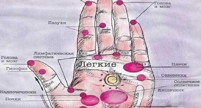 Болезни человека — на его руках. Будь внимателен — меньше будешь болеть!