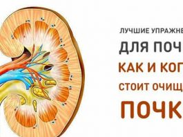 Лучшее упражнение для почек. Как и когда стоит очищать почки!