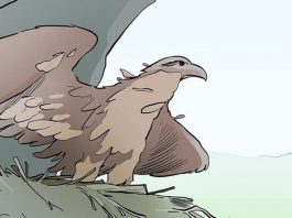 Для того, чтобы продолжать дальше жить — нужно меняться