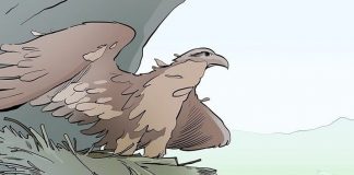 Для того, чтобы продолжать дальше жить — нужно меняться