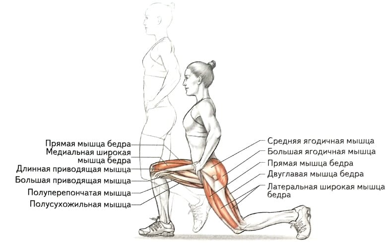 Как правильно делать выпады