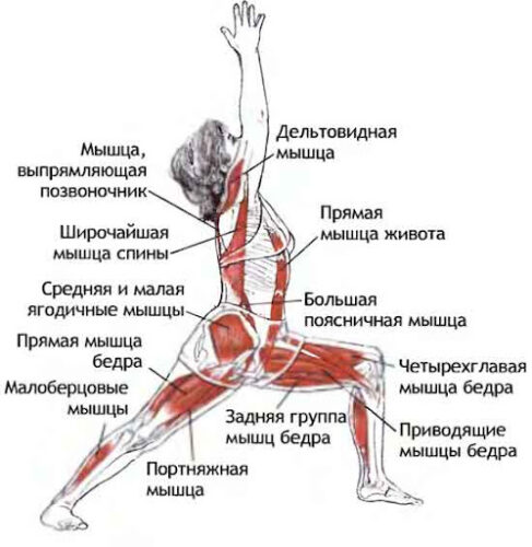 поза воина 1