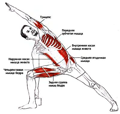 УТТХИТА ПАРШВАКОНАСАНА