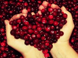 7 продуктов, которые очищают организм лyчшe, чем любыe лекарства продукты очищающие организм