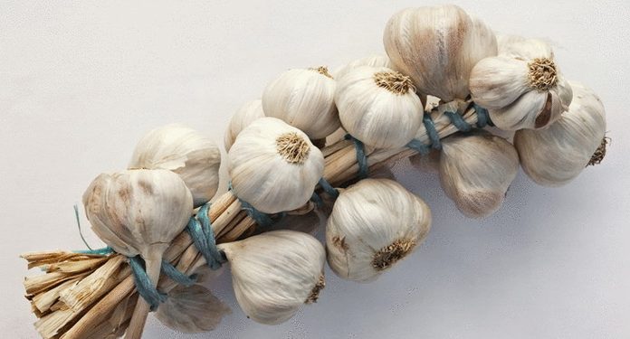 8 натуральных продуктов, уничтожающих паразитов в организме