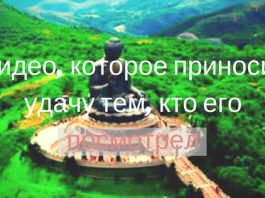 Видео, которое приносит удачу его смотрящему