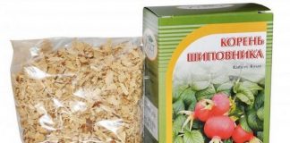 Корень шиповника при камнях в почках: рецепты, применение корень шиповника