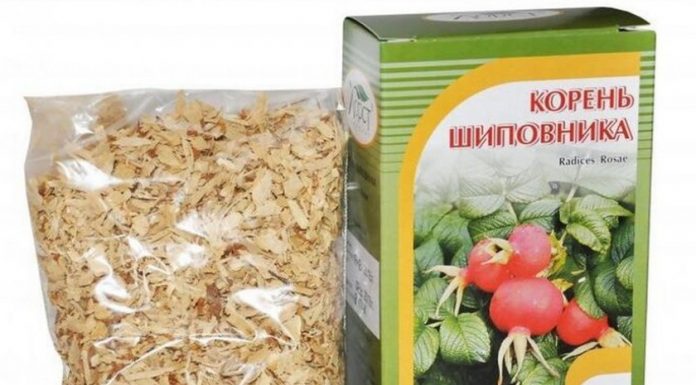 Корень шиповника при камнях в почках: рецепты, применение корень шиповника