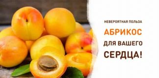 Невероятная польза абрикоса для Вашего сердца. Берем на заметку!