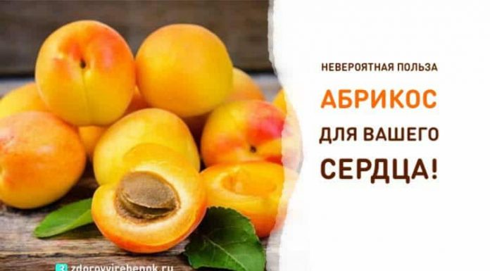 Невероятная польза абрикоса для Вашего сердца. Берем на заметку!