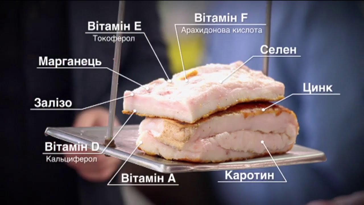 полезно ли сало