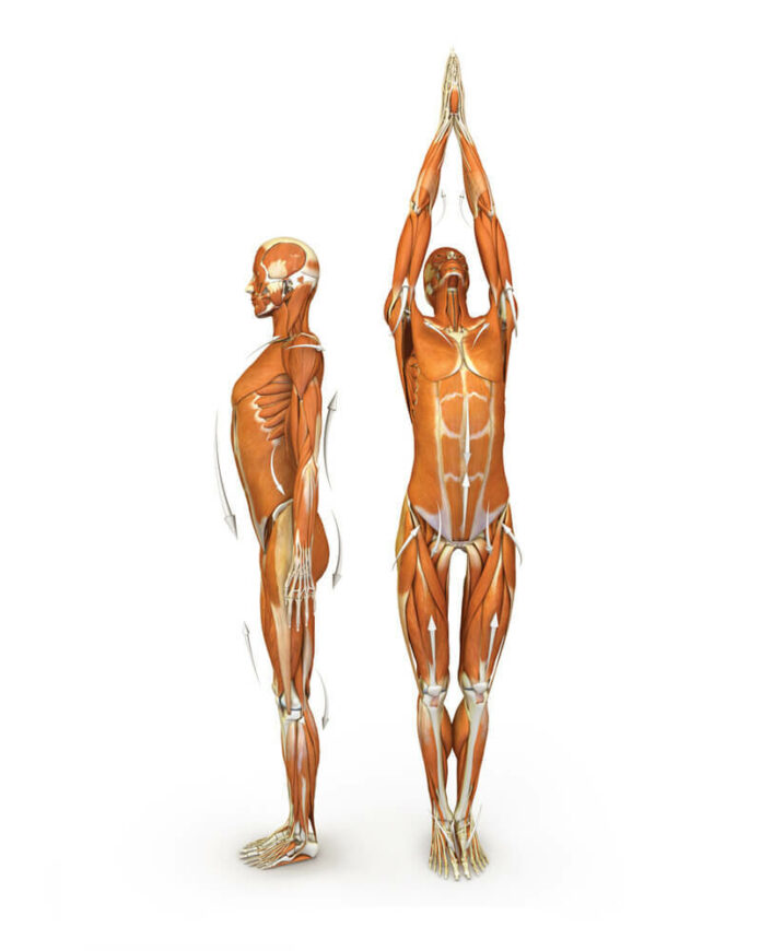 content_Tadasana4